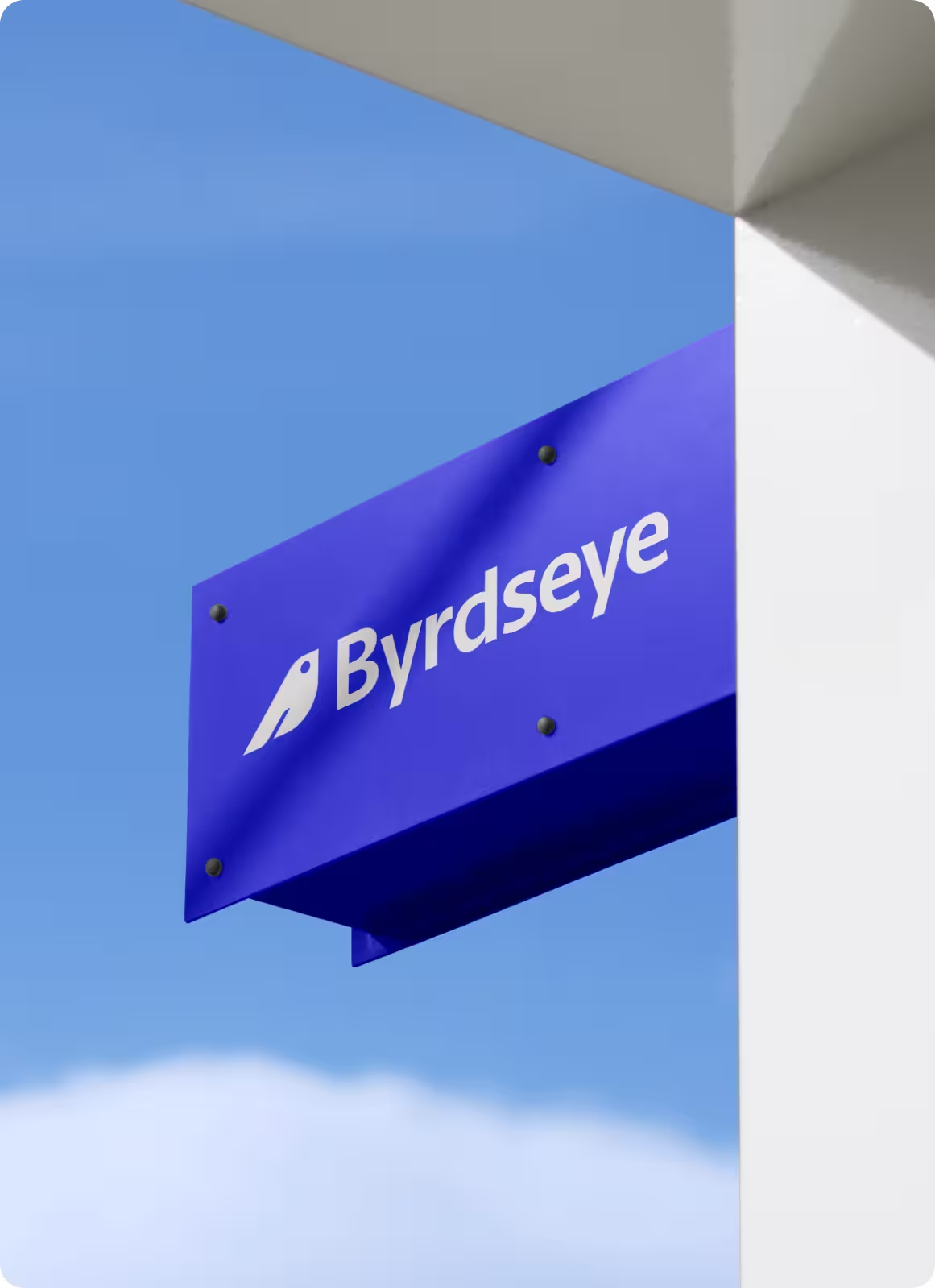 Byrdseye brand mockup